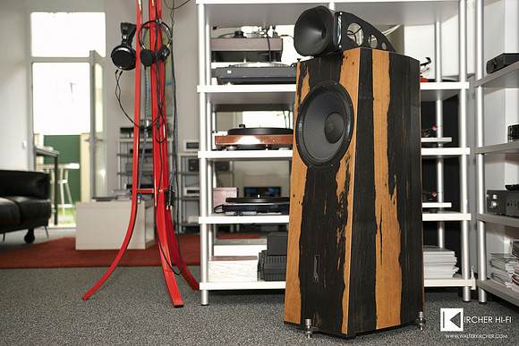 Blumenhofer Acoustics Genuin FS2 horn speaker