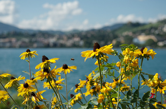 Montreux - Lake Geneva, Switzerland