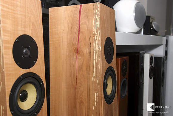 Blumenhofer Acoustics Fun 13 speakers detail