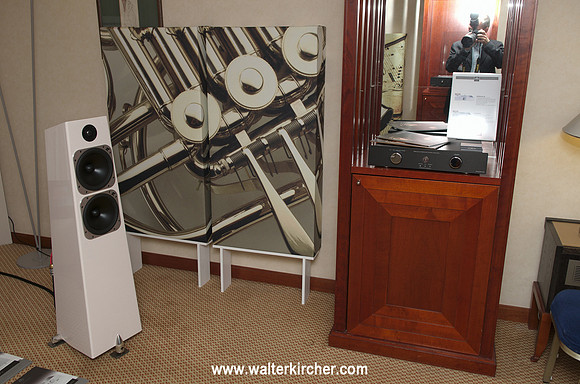 right myself in the mirror - Totem Element Metal speaker and GIK Acoustic element