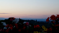 2010.07.08 Austria, Styria, Seggauberg and Kitzeck