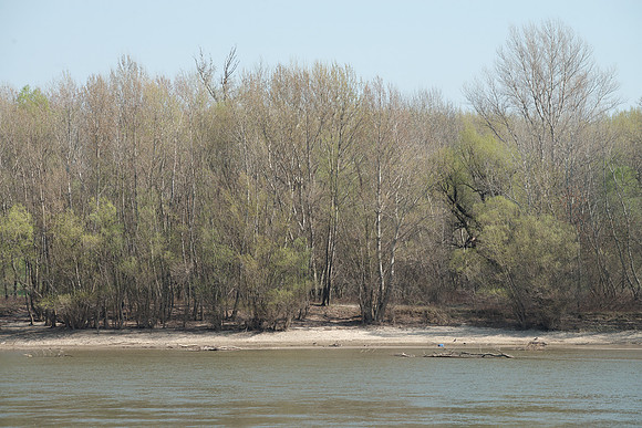Komarno, Slovakia: Vah river with beach